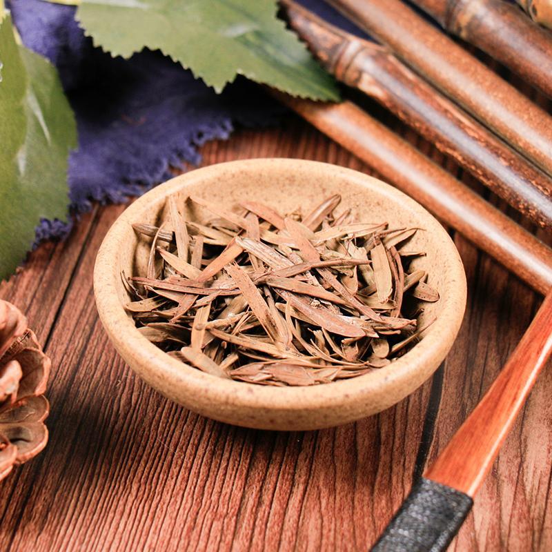 100g San Jian Shan 三尖杉, Cephalotaxus Fortunei Leaf, Yan Shan-[Chinese Herbs Online]-[chinese herbs shop near me]-[Traditional Chinese Medicine TCM]-[chinese herbalist]-Find Chinese Herb™