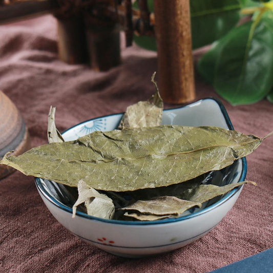 100g Shan Xiang Yuan Ye 山香圓葉, Folium Turpiniae, Turpinia Arguta Leaf-[Chinese Herbs Online]-[chinese herbs shop near me]-[Traditional Chinese Medicine TCM]-[chinese herbalist]-Find Chinese Herb™