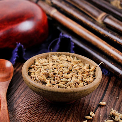 100g Sheng Mai Ya 生麥芽, Fructus Hordei Germinatus, Raw Malt-[Chinese Herbs Online]-[chinese herbs shop near me]-[Traditional Chinese Medicine TCM]-[chinese herbalist]-Find Chinese Herb™