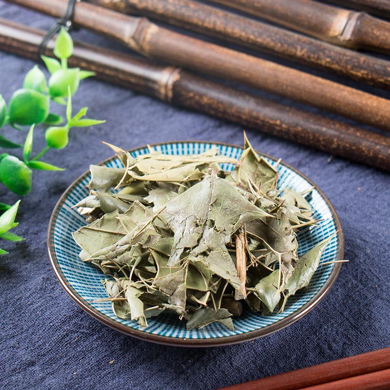 100g Shi Da Gong Lao Ye 十大功勞葉, Chinese Mahonia Leaf, Mao Er Ci, Ba Jiao Ci-[Chinese Herbs Online]-[chinese herbs shop near me]-[Traditional Chinese Medicine TCM]-[chinese herbalist]-Find Chinese Herb™