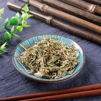 100g Shi Shang Bai 石上柏, HERBA SELAGINELLAE DOEDERLEINII, Suo Luo Cao-[Chinese Herbs Online]-[chinese herbs shop near me]-[Traditional Chinese Medicine TCM]-[chinese herbalist]-Find Chinese Herb™