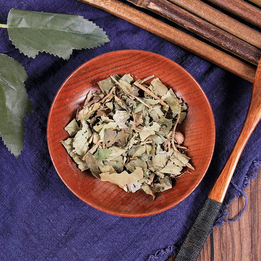 100g Shu San Jiao Feng 树三角枫, Acer Paxii Franch-[Chinese Herbs Online]-[chinese herbs shop near me]-[Traditional Chinese Medicine TCM]-[chinese herbalist]-Find Chinese Herb™