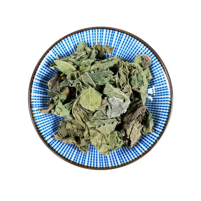 100g Shuang Sang Ye 霜桑葉, Folium Mori, Frost Mulberry Leaf-[Chinese Herbs Online]-[chinese herbs shop near me]-[Traditional Chinese Medicine TCM]-[chinese herbalist]-Find Chinese Herb™