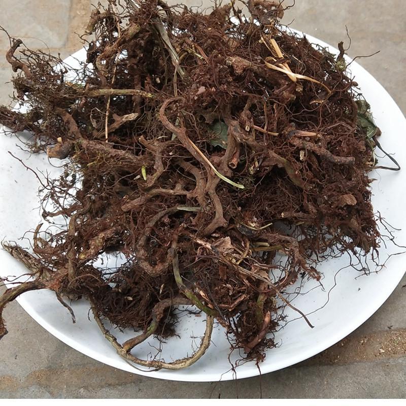 100g Shui Long Gu 水龙骨, Japanese Polypody Rhizome, Shi Can-[Chinese Herbs Online]-[chinese herbs shop near me]-[Traditional Chinese Medicine TCM]-[chinese herbalist]-Find Chinese Herb™