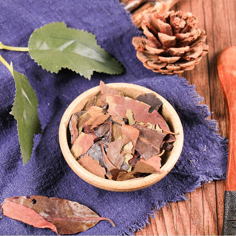 100g Si Ji Qing 四季青, Folium Ilicis Chinensis, Purpleflower Holly Leaf, Hong Dong Qing-[Chinese Herbs Online]-[chinese herbs shop near me]-[Traditional Chinese Medicine TCM]-[chinese herbalist]-Find Chinese Herb™