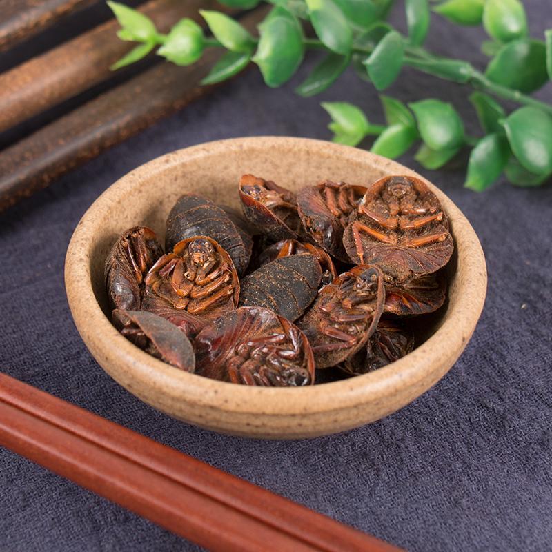 100g Tu Bie Chong 土鳖虫, Steleophaga, Eupolyphaga Sinensis Walker, Tu Yuan-[Chinese Herbs Online]-[chinese herbs shop near me]-[Traditional Chinese Medicine TCM]-[chinese herbalist]-Find Chinese Herb™