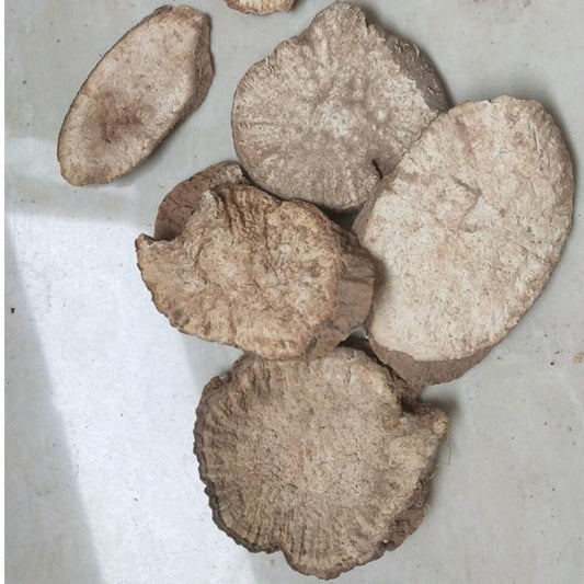 100g Tu Gua Gen 土瓜根, Mountain Morning Glory Root, Ipomoea Hungaiensis-[Chinese Herbs Online]-[chinese herbs shop near me]-[Traditional Chinese Medicine TCM]-[chinese herbalist]-Find Chinese Herb™
