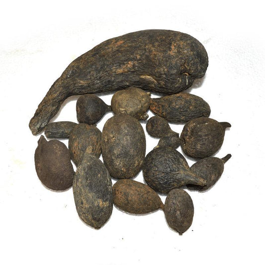 100g Wu Ling Shen 乌灵参, Xylaria Nigriper, Lei Zhen Zi, Reishi Mushroom-[Chinese Herbs Online]-[chinese herbs shop near me]-[Traditional Chinese Medicine TCM]-[chinese herbalist]-Find Chinese Herb™