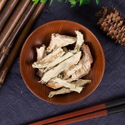 100g Xian Ren Zhang 仙人掌, Radix Opuntia Stricta, Cholla Root And Stem-[Chinese Herbs Online]-[chinese herbs shop near me]-[Traditional Chinese Medicine TCM]-[chinese herbalist]-Find Chinese Herb™