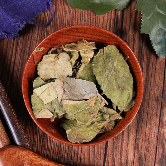 100g Xing Xiang Tu Er Feng 杏香兔耳风, Herba Ainsliaea Fragrans Champ, Zhu Xin Cao-[Chinese Herbs Online]-[chinese herbs shop near me]-[Traditional Chinese Medicine TCM]-[chinese herbalist]-Find Chinese Herb™