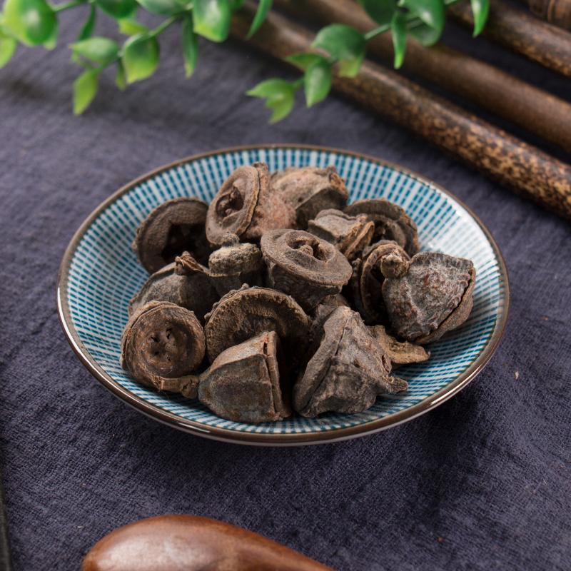 100g Yi Kou Zhong 一口钟, Eucalyptus Globulus Labill. Fruit, An Guo-[Chinese Herbs Online]-[chinese herbs shop near me]-[Traditional Chinese Medicine TCM]-[chinese herbalist]-Find Chinese Herb™