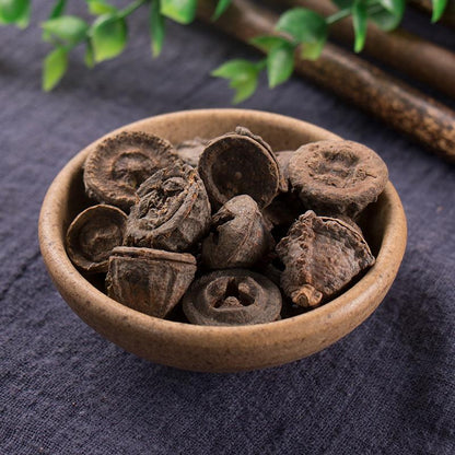 100g Yi Kou Zhong 一口钟, Eucalyptus Globulus Labill. Fruit, An Guo-[Chinese Herbs Online]-[chinese herbs shop near me]-[Traditional Chinese Medicine TCM]-[chinese herbalist]-Find Chinese Herb™