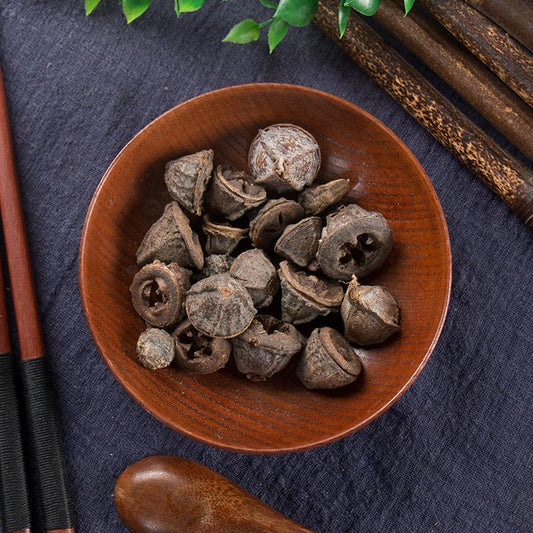 100g Yi Kou Zhong 一口钟, Eucalyptus Globulus Labill. Fruit, An Guo-[Chinese Herbs Online]-[chinese herbs shop near me]-[Traditional Chinese Medicine TCM]-[chinese herbalist]-Find Chinese Herb™