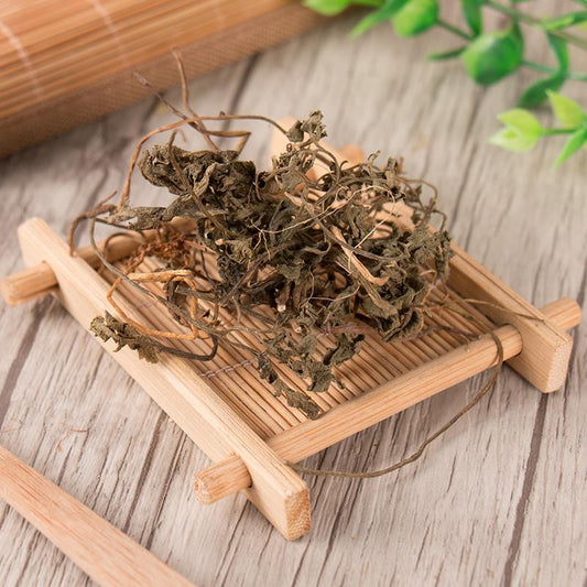 100g Yin Di Jue 陰地蕨, Ternate Grape Fern Herb, Herba Botrychii, Yi Duo Yun-[Chinese Herbs Online]-[chinese herbs shop near me]-[Traditional Chinese Medicine TCM]-[chinese herbalist]-Find Chinese Herb™