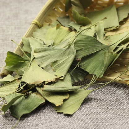100g Yin Xing Ye 银杏叶, FOLIUM Ginkgo, Ginkgo Biloba Leaf-[Chinese Herbs Online]-[chinese herbs shop near me]-[Traditional Chinese Medicine TCM]-[chinese herbalist]-Find Chinese Herb™