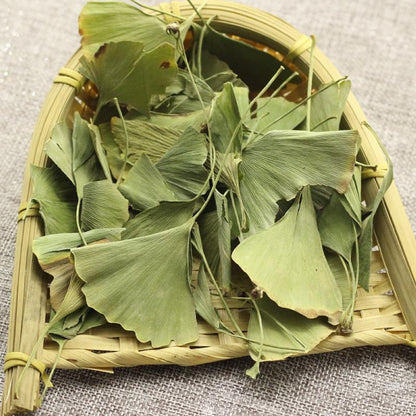 100g Yin Xing Ye 银杏叶, FOLIUM Ginkgo, Ginkgo Biloba Leaf-[Chinese Herbs Online]-[chinese herbs shop near me]-[Traditional Chinese Medicine TCM]-[chinese herbalist]-Find Chinese Herb™