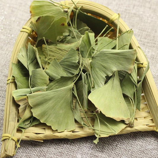 100g Yin Xing Ye 银杏叶, FOLIUM Ginkgo, Ginkgo Biloba Leaf-[Chinese Herbs Online]-[chinese herbs shop near me]-[Traditional Chinese Medicine TCM]-[chinese herbalist]-Find Chinese Herb™