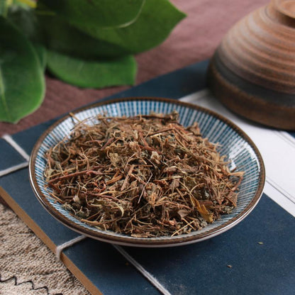 100g Zha Jiang Cao 酢漿草, Herba Oxalidis Corniculatae, Creeping Woodsorrel Herb-[Chinese Herbs Online]-[chinese herbs shop near me]-[Traditional Chinese Medicine TCM]-[chinese herbalist]-Find Chinese Herb™