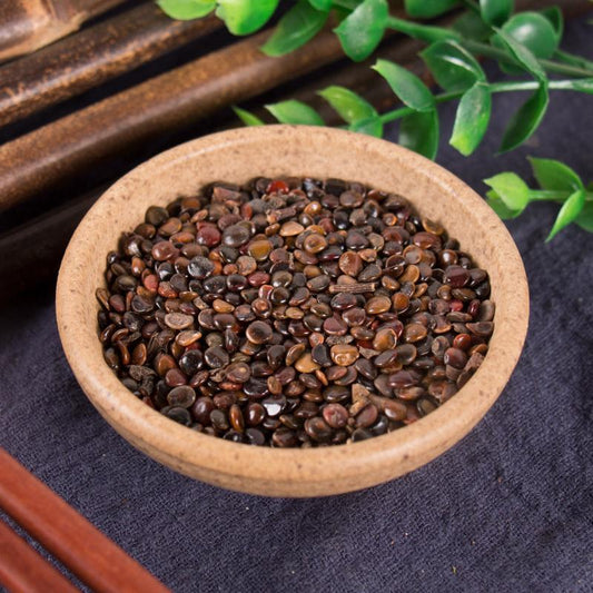 100g Zhi Ju Zi 枳椇子, Semen Hoveniae, Raisin Tree Seed, Guai Zao, Ji Zhua Li-[Chinese Herbs Online]-[chinese herbs shop near me]-[Traditional Chinese Medicine TCM]-[chinese herbalist]-Find Chinese Herb™