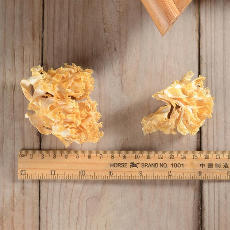 120g Xiu Qiu Jun 绣球菌, Sparassis Crispa, Cauliflower Mushroom, Hanabiratake-[Chinese Herbs Online]-[chinese herbs shop near me]-[Traditional Chinese Medicine TCM]-[chinese herbalist]-Find Chinese Herb™