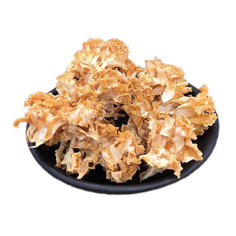 120g Xiu Qiu Jun 绣球菌, Sparassis Crispa, Cauliflower Mushroom, Hanabiratake-[Chinese Herbs Online]-[chinese herbs shop near me]-[Traditional Chinese Medicine TCM]-[chinese herbalist]-Find Chinese Herb™