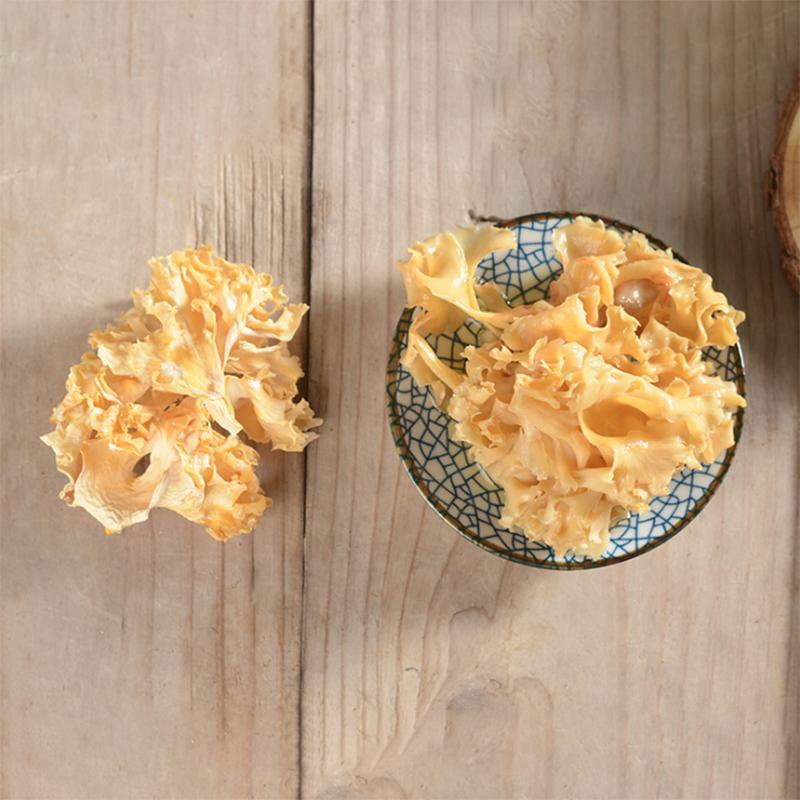120g Xiu Qiu Jun 绣球菌, Sparassis Crispa, Cauliflower Mushroom, Hanabiratake-[Chinese Herbs Online]-[chinese herbs shop near me]-[Traditional Chinese Medicine TCM]-[chinese herbalist]-Find Chinese Herb™