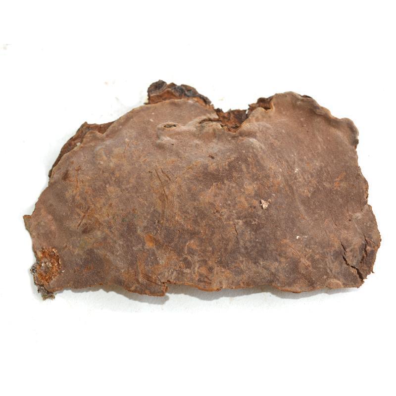 1kg Ban He Kong Jun 斑褐孔菌, Fuscoporia Punctata, Ganoderma Lucidum, Wild Lingzhi-[Chinese Herbs Online]-[chinese herbs shop near me]-[Traditional Chinese Medicine TCM]-[chinese herbalist]-Find Chinese Herb™