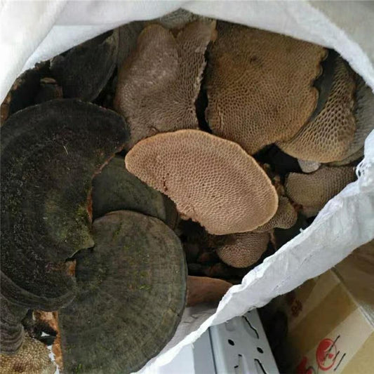 1kg Feng Wo Ling Zhi 蜂窝灵芝, Reishi Mushroom, Ganoderma Lucidum, Wild Black Lingzhi-[Chinese Herbs Online]-[chinese herbs shop near me]-[Traditional Chinese Medicine TCM]-[chinese herbalist]-Find Chinese Herb™
