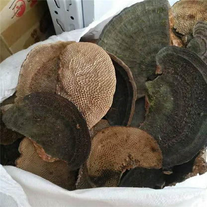 1kg Feng Wo Ling Zhi 蜂窝灵芝, Reishi Mushroom, Ganoderma Lucidum, Wild Black Lingzhi-[Chinese Herbs Online]-[chinese herbs shop near me]-[Traditional Chinese Medicine TCM]-[chinese herbalist]-Find Chinese Herb™