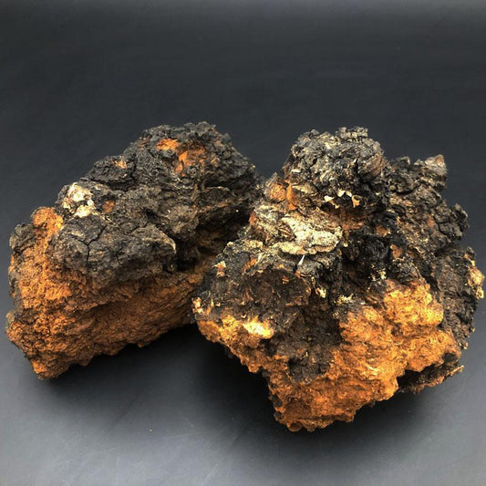 1kg Hua He Kong Jun 桦褐孔菌, Inonotus Obliquus, Chaga Mushroom, Bai Hua Rong-[Chinese Herbs Online]-[chinese herbs shop near me]-[Traditional Chinese Medicine TCM]-[chinese herbalist]-Find Chinese Herb™