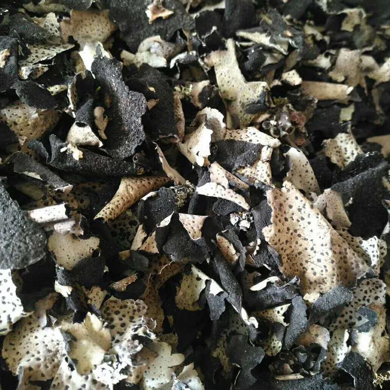 1kg Shi Er 石耳, Umbilicaria Esculenta Miyoshi, Rock Tripe, Rock Ear, Stone Ear-[Chinese Herbs Online]-[chinese herbs shop near me]-[Traditional Chinese Medicine TCM]-[chinese herbalist]-Find Chinese Herb™