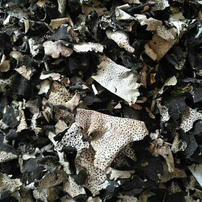 1kg Shi Er 石耳, Umbilicaria Esculenta Miyoshi, Rock Tripe, Rock Ear, Stone Ear-[Chinese Herbs Online]-[chinese herbs shop near me]-[Traditional Chinese Medicine TCM]-[chinese herbalist]-Find Chinese Herb™