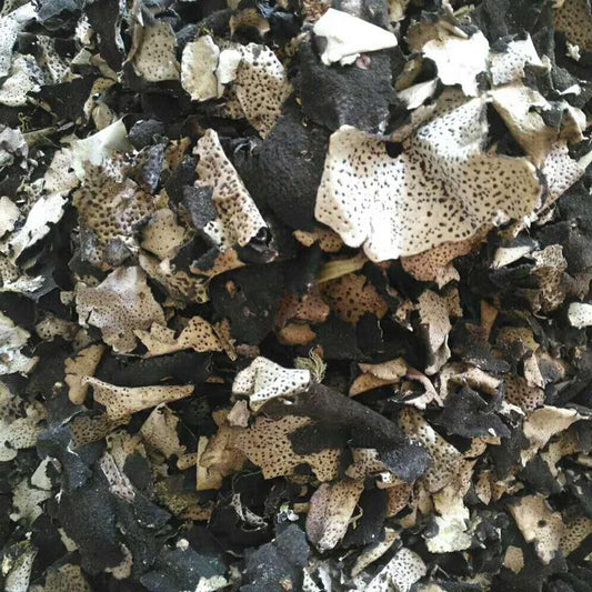 1kg Shi Er 石耳, Umbilicaria Esculenta Miyoshi, Rock Tripe, Rock Ear, Stone Ear-[Chinese Herbs Online]-[chinese herbs shop near me]-[Traditional Chinese Medicine TCM]-[chinese herbalist]-Find Chinese Herb™