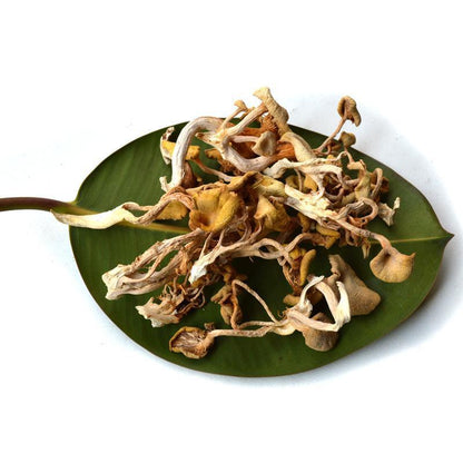 1kg Yu Huang Mo 榆黄蘑, Pleurotus Citrinopileatus, Wild Mushroom-[Chinese Herbs Online]-[chinese herbs shop near me]-[Traditional Chinese Medicine TCM]-[chinese herbalist]-Find Chinese Herb™