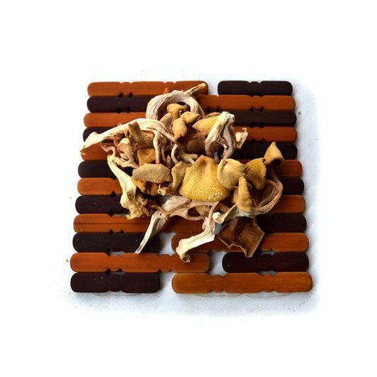 1kg Yu Huang Mo 榆黄蘑, Pleurotus Citrinopileatus, Wild Mushroom-[Chinese Herbs Online]-[chinese herbs shop near me]-[Traditional Chinese Medicine TCM]-[chinese herbalist]-Find Chinese Herb™