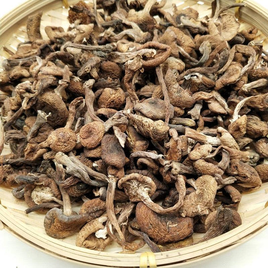 1kg Zhen Mo 榛蘑, Hazel Dell Mushroom, Wild Fungs-[Chinese Herbs Online]-[chinese herbs shop near me]-[Traditional Chinese Medicine TCM]-[chinese herbalist]-Find Chinese Herb™