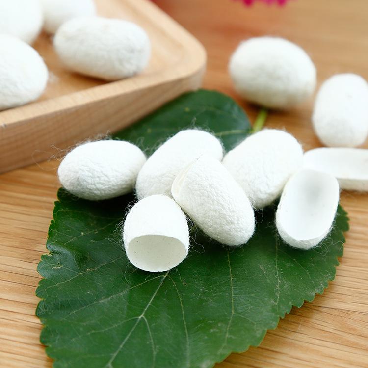 200pcs Can Jian 蚕茧, Silkworm Cocoon, Bombyx Mori-[Chinese Herbs Online]-[chinese herbs shop near me]-[Traditional Chinese Medicine TCM]-[chinese herbalist]-Find Chinese Herb™