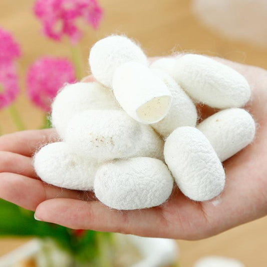 200pcs Can Jian 蚕茧, Silkworm Cocoon, Bombyx Mori-[Chinese Herbs Online]-[chinese herbs shop near me]-[Traditional Chinese Medicine TCM]-[chinese herbalist]-Find Chinese Herb™