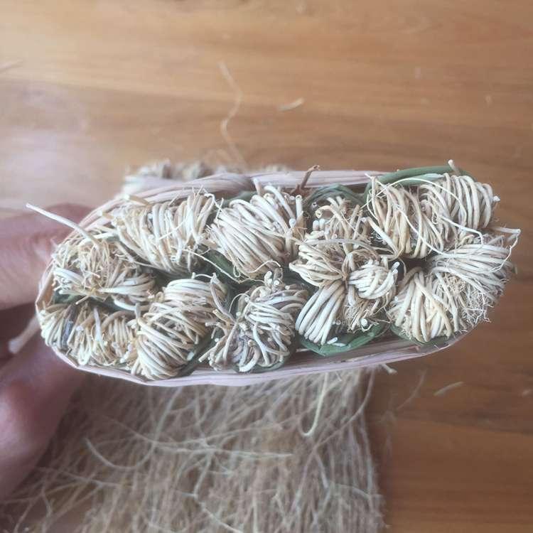 20pcs Yang Gan Cao 养肝草, Long Xu Cao 龙须草, 丝线根-[Chinese Herbs Online]-[chinese herbs shop near me]-[Traditional Chinese Medicine TCM]-[chinese herbalist]-Find Chinese Herb™