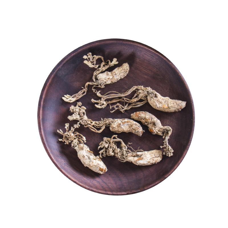 250g Jin Chan Hua 金蝉花, Ophiocordyceps Sobolifera, Cicada Fungus-[Chinese Herbs Online]-[chinese herbs shop near me]-[Traditional Chinese Medicine TCM]-[chinese herbalist]-Find Chinese Herb™