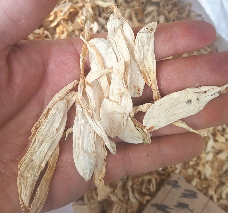 250g Yu Zan Hua 玉簪花, Fragrant Plantainlily Flower, Hosta Plantaginea-[Chinese Herbs Online]-[chinese herbs shop near me]-[Traditional Chinese Medicine TCM]-[chinese herbalist]-Find Chinese Herb™