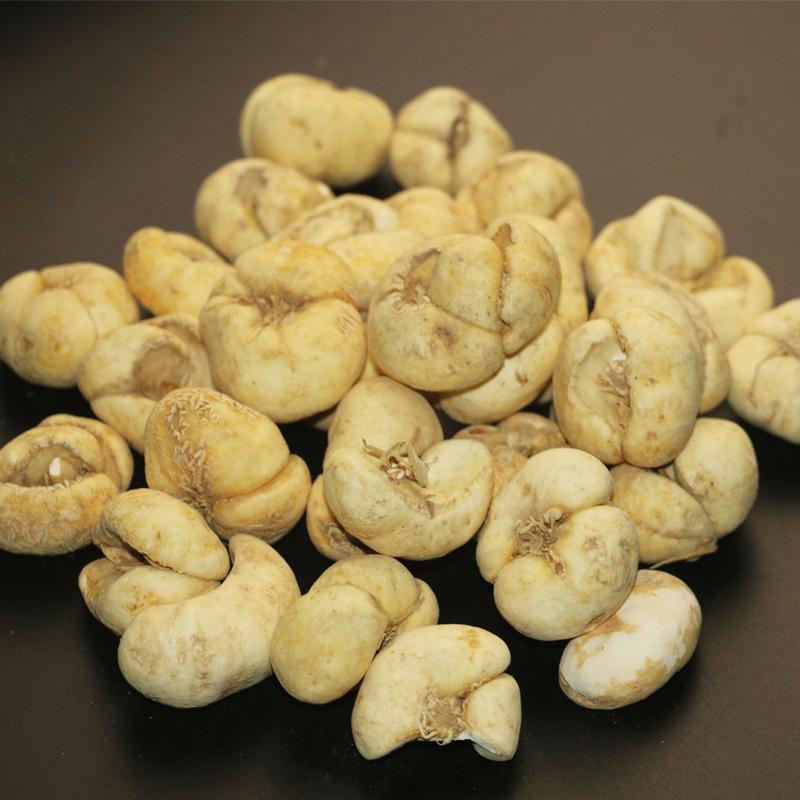250g Zhe Bei Mu 浙贝母, Bulb Of Thunberg Fritillary, Bulbus Fritillariae Thunbergii-[Chinese Herbs Online]-[chinese herbs shop near me]-[Traditional Chinese Medicine TCM]-[chinese herbalist]-Find Chinese Herb™