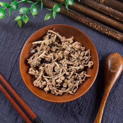 250g Zhu Er Shen 珠儿参, Rhizome Largeleaf Japanese Ginseng, Panax Japonicus-[Chinese Herbs Online]-[chinese herbs shop near me]-[Traditional Chinese Medicine TCM]-[chinese herbalist]-Find Chinese Herb™