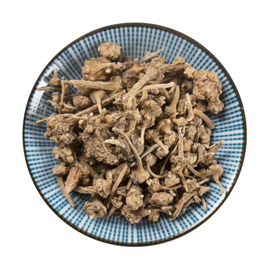250g Zhu Er Shen 珠儿参, Rhizome Largeleaf Japanese Ginseng, Panax Japonicus-[Chinese Herbs Online]-[chinese herbs shop near me]-[Traditional Chinese Medicine TCM]-[chinese herbalist]-Find Chinese Herb™