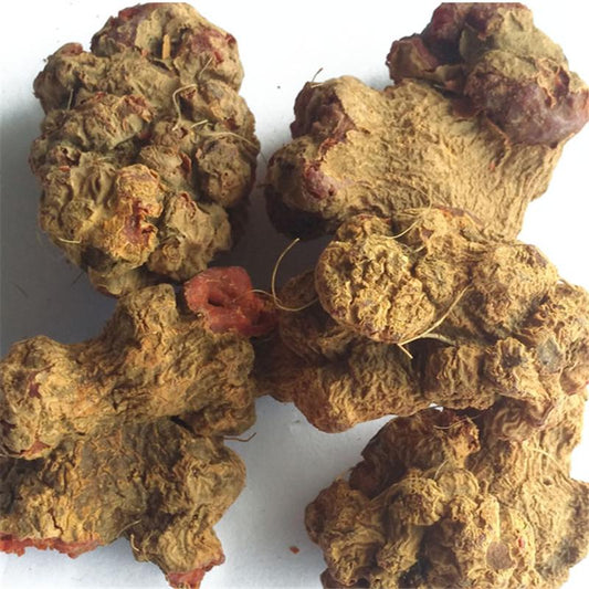 250g Zhu Sha Lian 朱砂莲, Kaempfer Dutchmanspipe Root, Aristolochia Cinnabarina-[Chinese Herbs Online]-[chinese herbs shop near me]-[Traditional Chinese Medicine TCM]-[chinese herbalist]-Find Chinese Herb™