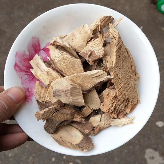 500g Ba Jiao Feng Gen 八角楓根, Chinese Alangium Root, Radix Alangii, Bai Long Xu-[Chinese Herbs Online]-[chinese herbs shop near me]-[Traditional Chinese Medicine TCM]-[chinese herbalist]-Find Chinese Herb™