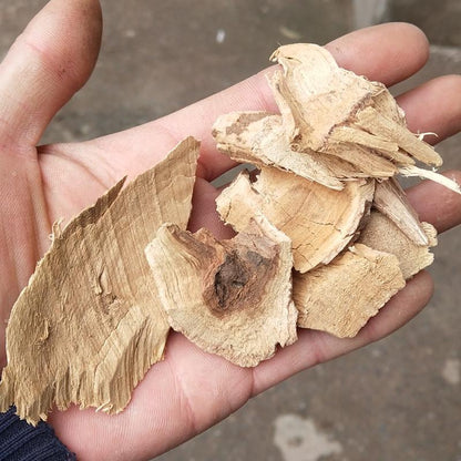 500g Ba Jiao Feng Gen 八角楓根, Chinese Alangium Root, Radix Alangii, Bai Long Xu-[Chinese Herbs Online]-[chinese herbs shop near me]-[Traditional Chinese Medicine TCM]-[chinese herbalist]-Find Chinese Herb™