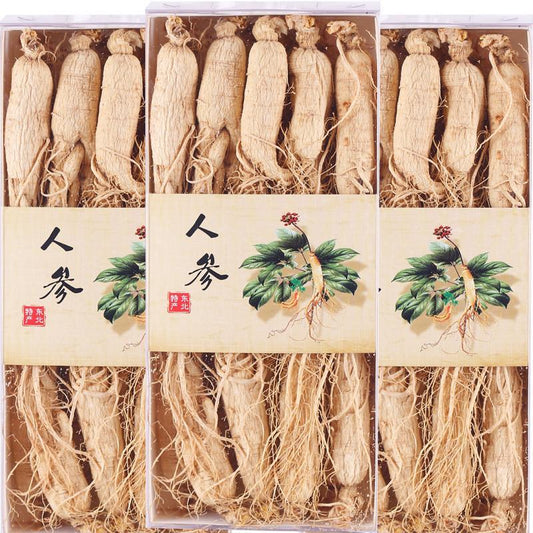 500g Bai Ren Shen 白人参, Chang Bai Shan White Ginseng Roots, Radix Panax Ginseng-[Chinese Herbs Online]-[chinese herbs shop near me]-[Traditional Chinese Medicine TCM]-[chinese herbalist]-Find Chinese Herb™