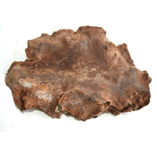 500g Ban He Kong Jun 斑褐孔菌, Fuscoporia Punctata, Ganoderma Lucidum, Wild Lingzhi-[Chinese Herbs Online]-[chinese herbs shop near me]-[Traditional Chinese Medicine TCM]-[chinese herbalist]-Find Chinese Herb™