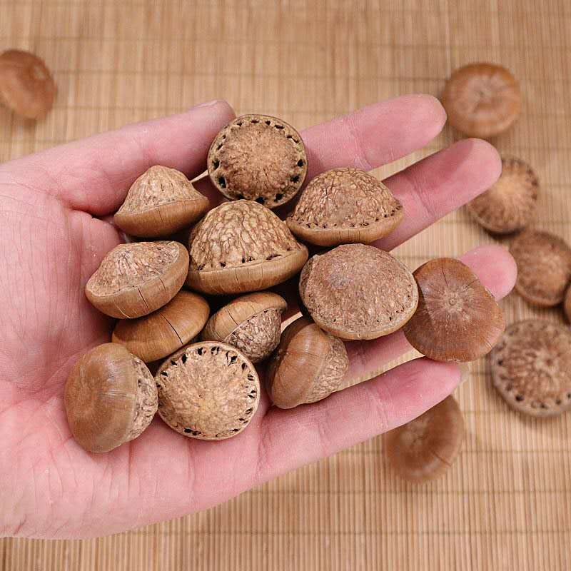 500g Bu Shen Guo 补肾果, Lithocarpus Pachylepis, Gui Tou Zi, Feng Liu Guo, Zhuang Yang Guo-[Chinese Herbs Online]-[chinese herbs shop near me]-[Traditional Chinese Medicine TCM]-[chinese herbalist]-Find Chinese Herb™